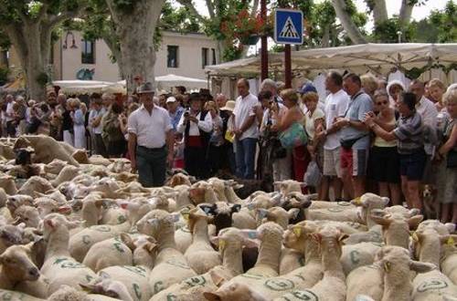 Fête de la Transhumance