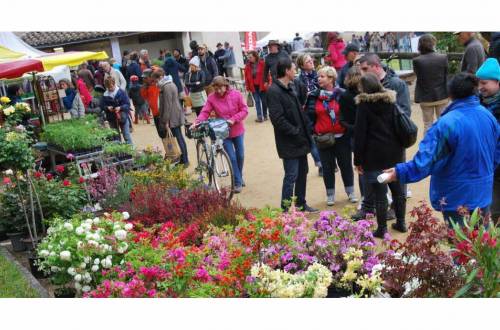 Flower market in Mirabel et Blacons 