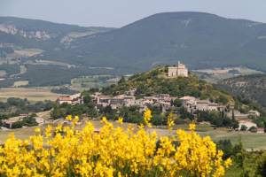 Botanical scents and perched village weekends...