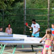 pingpong